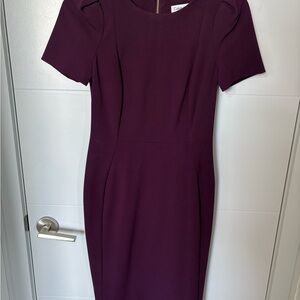 Calvin Klein Tulip Sleeved Sheath Dress